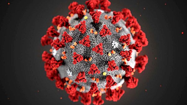 Das Coronavirus. Das Coronavirus.
