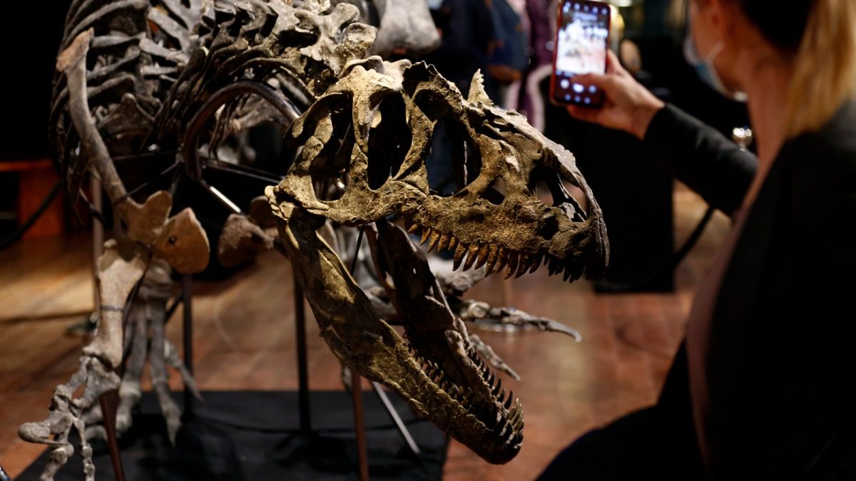 هيكل الديناصور "ألوصور" يعرض للبيع في مزاد في فرنسا