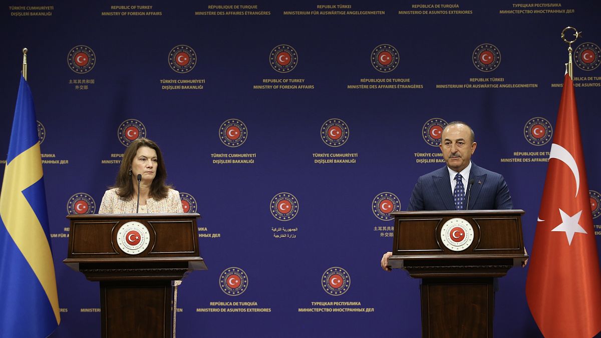 Dışişleri Bakanı Mevlüt Çavuşoğlu İsveçli mevkidaşı Ann Lİnde ile ortak basın toplantısında