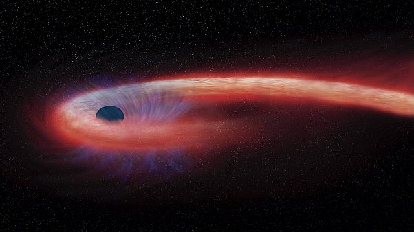A NASA szerint így nyel el egy fekete lyuk egy csillagot A NASA szerint így nyel el egy fekete lyuk egy csillagot