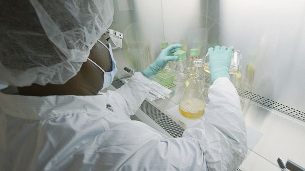 Az Eli Lilly egyik kutatója munka közben Az Eli Lilly egyik kutatója munka közben
