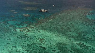 La Gran Barrera de Coral, en la lista de patrimonio de la humanidad "en peligro" según la UNESCO