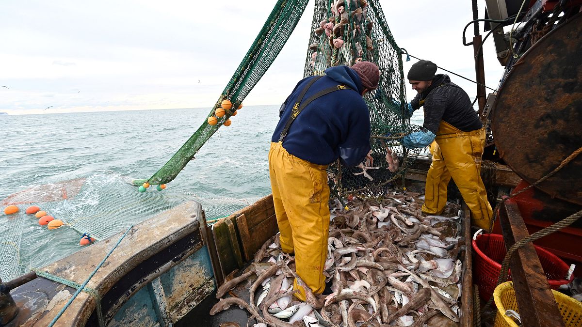 Newhaven fishing boat skipper Neil Whitney (L) and deckhand Nathan Harman (R) sort the fish from the net off the south-east coast of England, October 12, 2020. 
