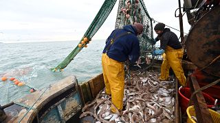 Newhaven fishing boat skipper Neil Whitney (L) and deckhand Nathan Harman (R) sort the fish from the net off the south-east coast of England, October 12, 2020. 