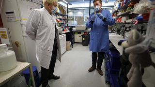İngiltere Başbakanı Johnson Oxford Üniversitesi'ndeki aşı çalışmaları hakkında bilgi aldı