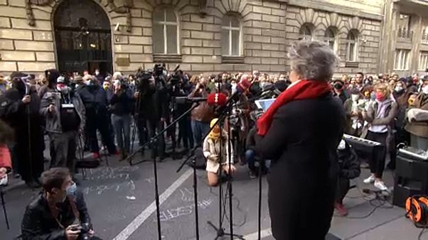 euronews euronews