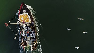 A fishing trawler brings its catch into port.