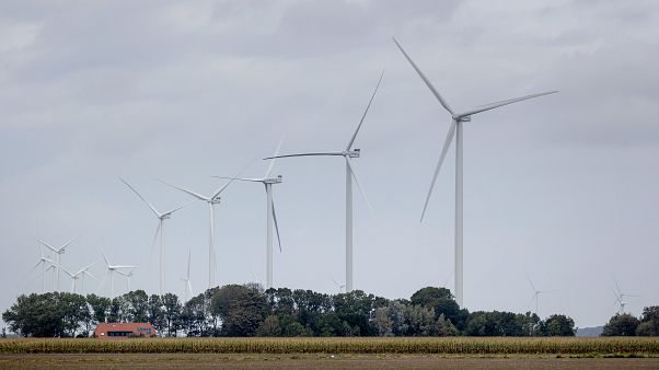 طواحين هوائية في مزرعة بورينغويرف،شمال هولندا في سبتمبر2020 طواحين هوائية في مزرعة بورينغويرف،شمال هولندا في سبتمبر2020