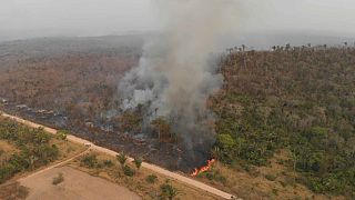 Die Abholzung des Amazonas-Regenwaldes ist eine ökologische Bedrohung - und eined tödliche Gefahr für die Bewohner