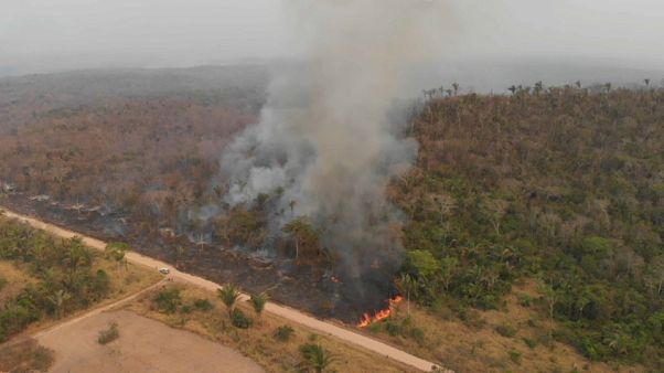 Indigenous Amazonians fighting for lives say battle for rainforest involves whole world Indigenous Amazonians fighting for lives say battle for rainforest involves whole world
