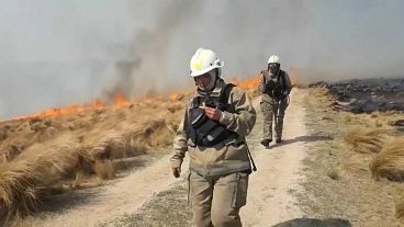 شاهد.. رجال إطفاء تنجح في إخماد آخر بؤر الحرائق وسط الأرجنتين