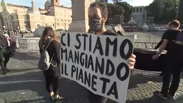 Como manter o ativismo climático durante a pandemia? Como manter o ativismo climático durante a pandemia?