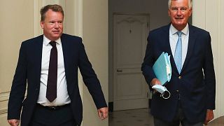 David Frost ve Michel Barnier