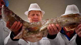 File photo: British PM Boris Johnson visits Grimsby fish market, northeast England. Dec. 9, 2020.