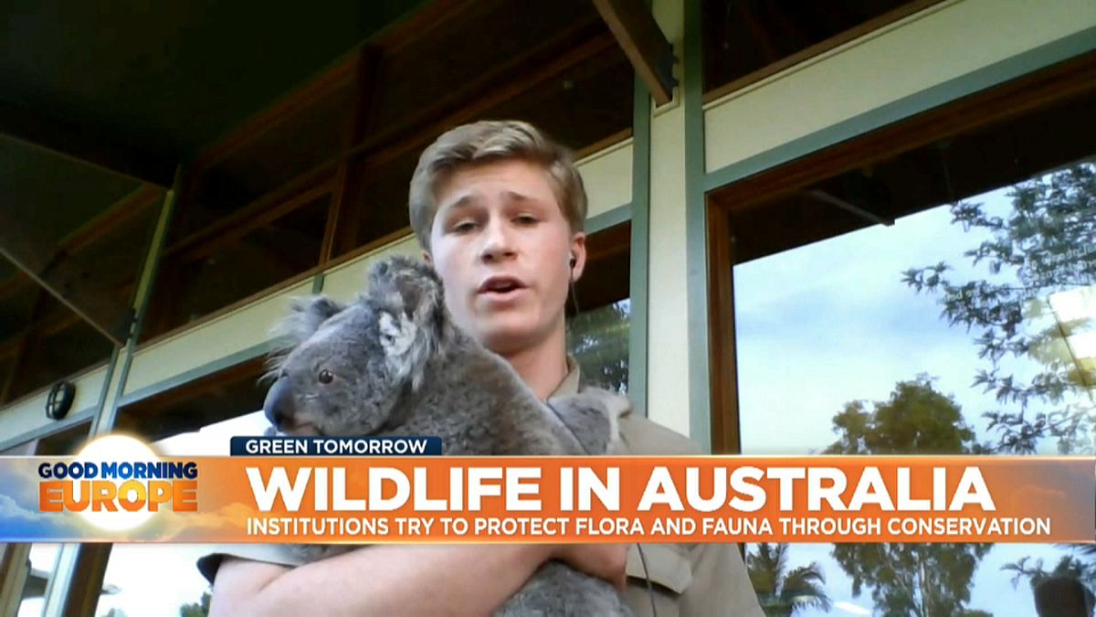 Conservationist Robert Irwin holds koala