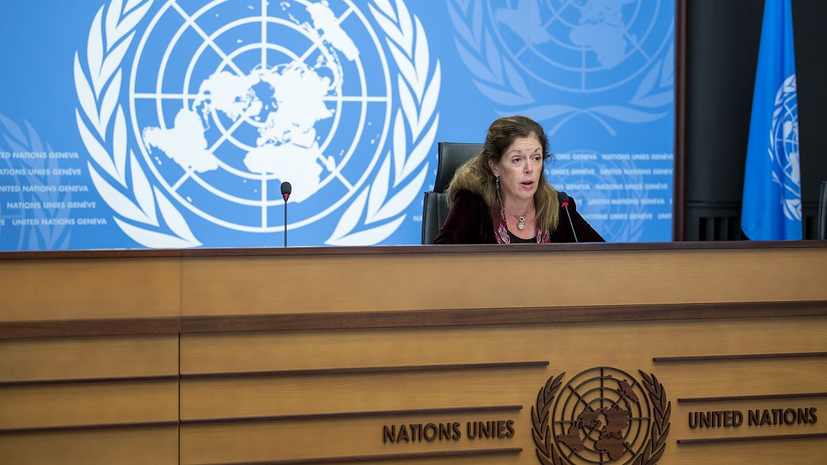 Birleşmiş Milletler Libya Özel Temsilcisi Stephanie Turco Williams