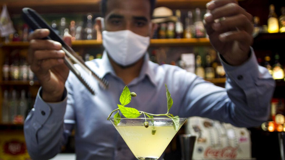 bartender Dagoberto Jesus Morejon prepares a "Martini de Oro," or Golden Martini, a cocktail using a plant endemic to Cuba called the "Orozus de la Tierra." 