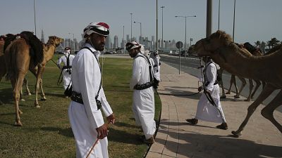 Верблюжьи бега в Дохе, апрель 2019 г.
