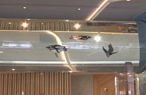 هتل آکواریوم در تایوان؛ اقامتی چند روزه در کنار ماهی‌ها