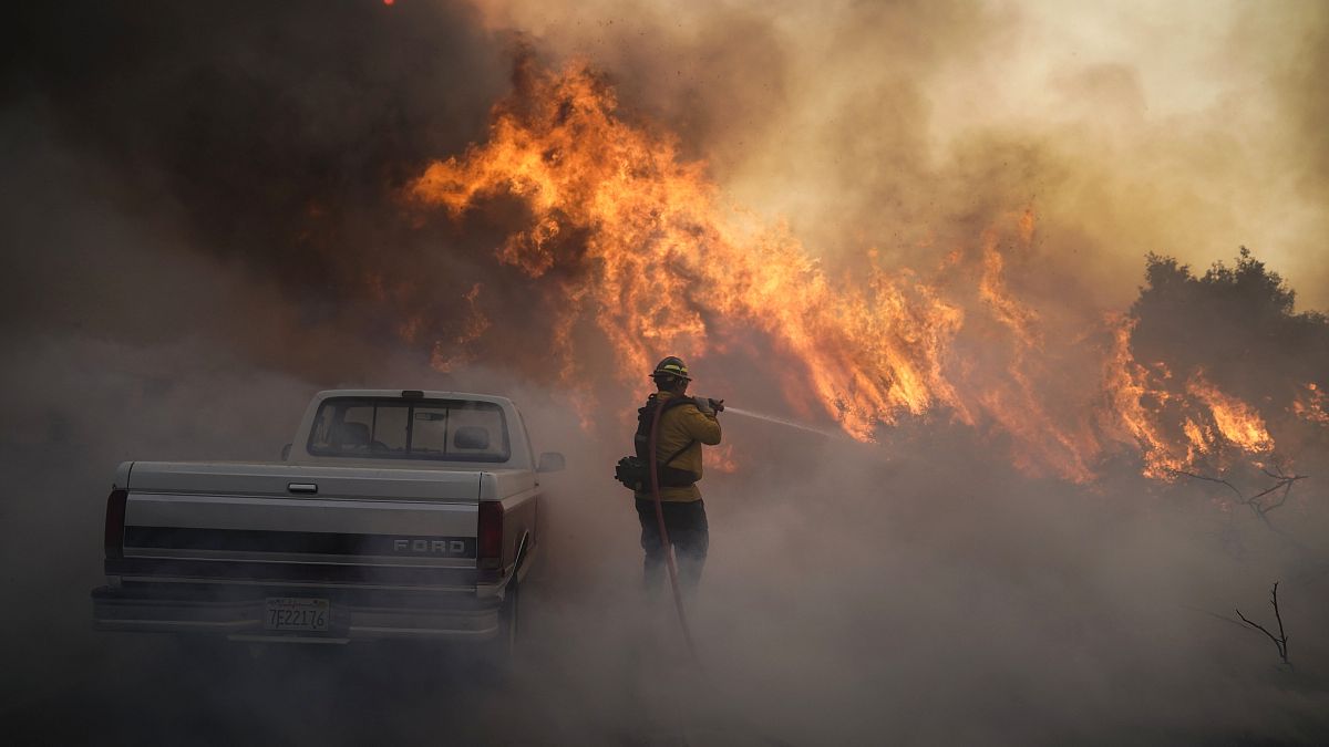 ABD'nin Kaliforniya eyaletinde orman yangınları 