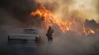 ABD'nin Kaliforniya eyaletinde orman yangınları