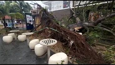 شاهد: كيف دمر إعصار زيتا منتجع بلايا ديل كار الشهير في المكسيك