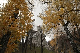 COVID-19 scares visitors away from Dracula's Castle this Halloween
