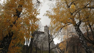 COVID-19 scares visitors away from Dracula's Castle this Halloween