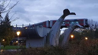 Metro train accidentally comes to rest on whale tail artwork in the early hours of Monday morning.