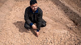 Drought threatens crops in Morocco