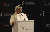 Birleşik Arap Emirlikleri (BAE) Dışişleri Bakanı Anwar Gargash