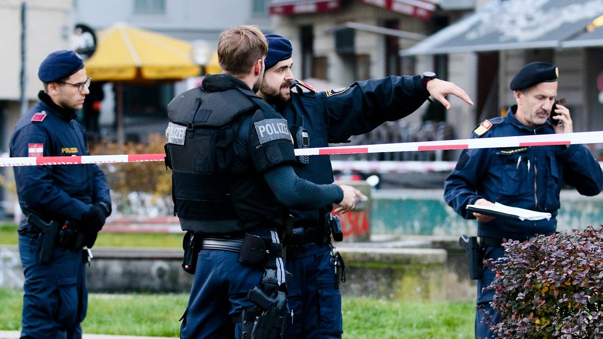 Viyana'da silahlı saldırı