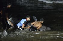انقاذ الحيتان في سريلانكا