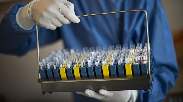 En Belgique les infections quotidiennes ont chuté spectaculairement En Belgique les infections quotidiennes ont chuté spectaculairement