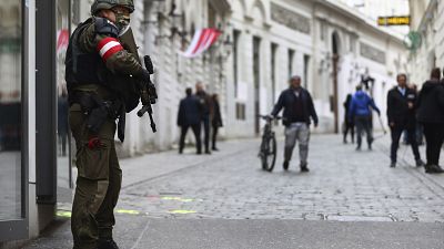 A military police officer guard at the crime scene near a synagogue in Vienna, Austria.