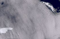 A satelite image showing the iceberg floating towards the sub-Antarctic island of South Georgia.