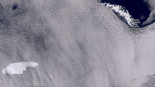 A satelite image showing the iceberg floating towards the sub-Antarctic island of South Georgia.