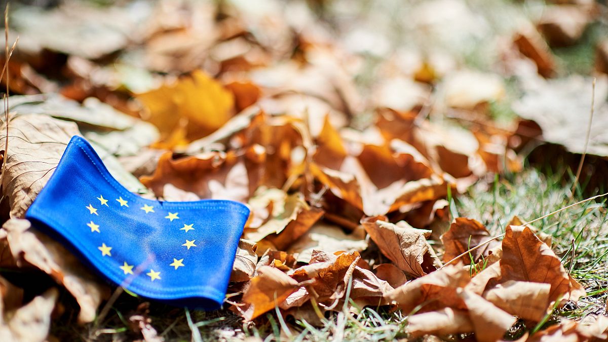 Dead leaves on the grass with the European flag