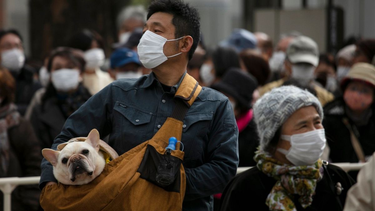 اكنتاز الحيوانات .. مشكلة تحاول السلطات اليابانية إبجاد حل لها 