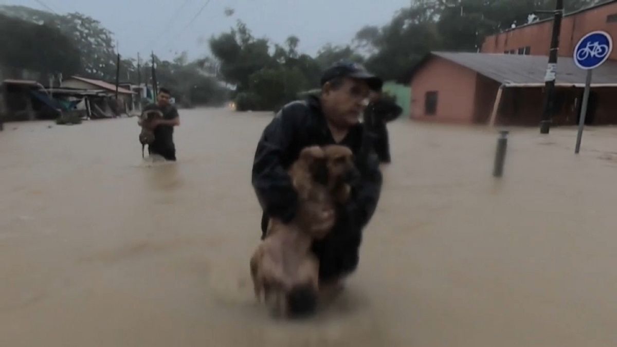 Un hombre rescata a su perro en Nicaragua tras el paso del Eta