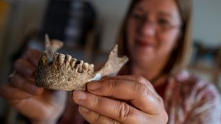 5 bin yıllık "Bietikow Leydisi" iskeleti antik diyet ve yaşam tarzını ortaya koyuyor