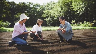 From the Risonare Nasu in Japan (pictured) to a farm in Wales, here are the best places to try living off the land.