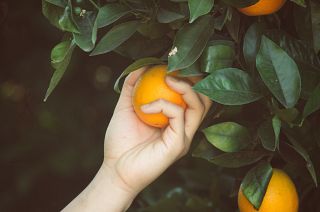 Lockdowns have left us craving rural space.