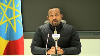 Ethiopie : Abiy Ahmed limoge le chef de l'armée en pleine offensive