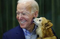 Joe Biden egy februári kampányrendezvényen Roxyval
