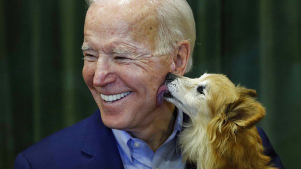 Joe Biden egy februári kampányrendezvényen Roxyval Joe Biden egy februári kampányrendezvényen Roxyval