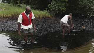 25 ans après, le delta du Niger toujours aussi pollué