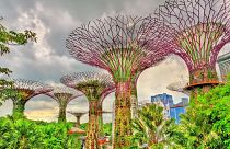 Since gaining independence in 1965, Singapore has transformed itself to a city famed for its green innovation.
