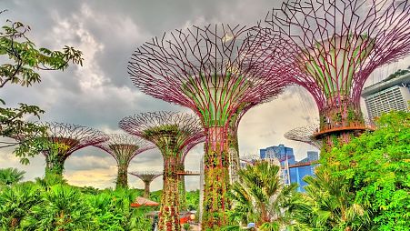Since gaining independence in 1965, Singapore has transformed itself to a city famed for its green innovation.