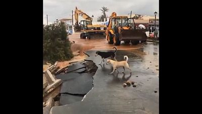 ویدئو؛ سیل در جزیره کرت یونان خودروها را به دریا برد